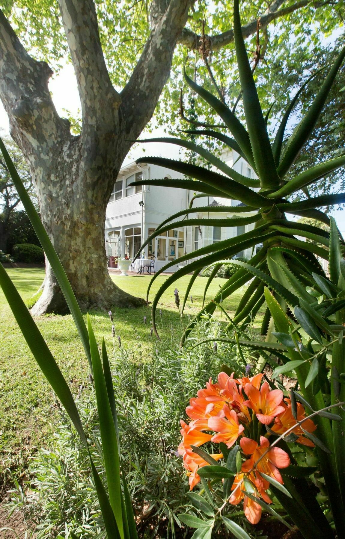 מלון קייפטאון Brooklands House מראה חיצוני תמונה